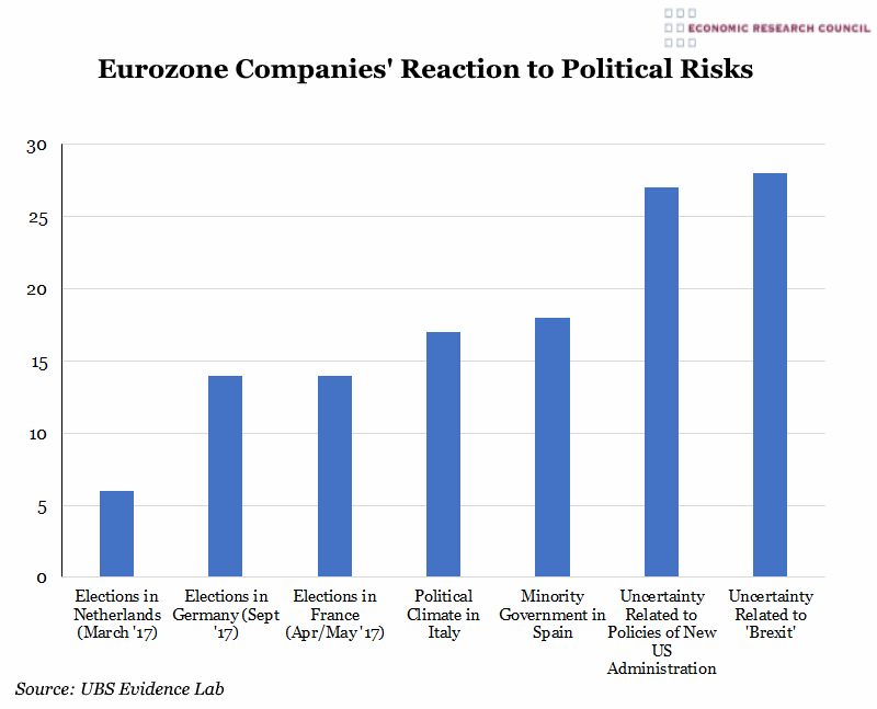 Eurozone Companies' Reaction to Political Risks